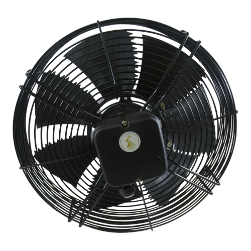 Fan