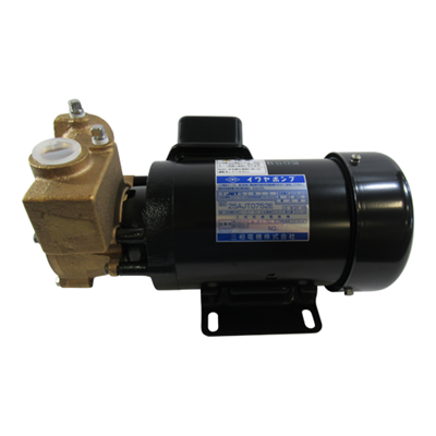 Pump Motor