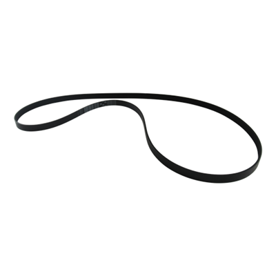 Serpentine Belt