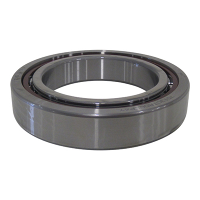 Duplex Bearing