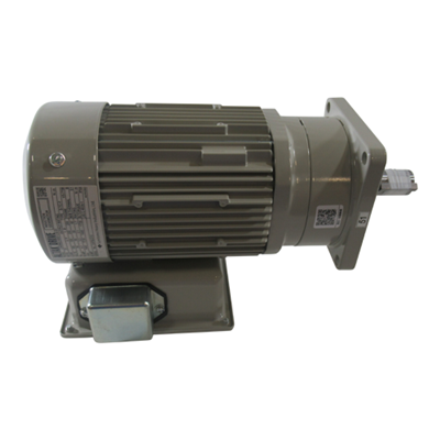 Drive Induction Gearmotor