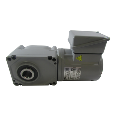 Induction Gearmotor