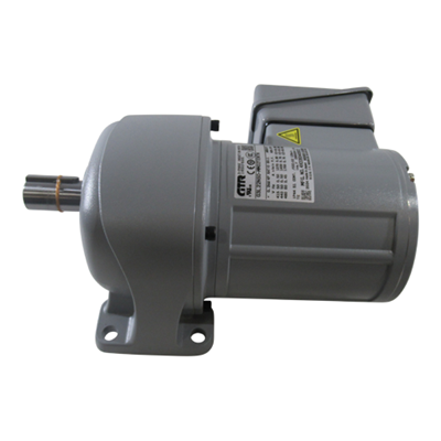 Induction Gearmotor