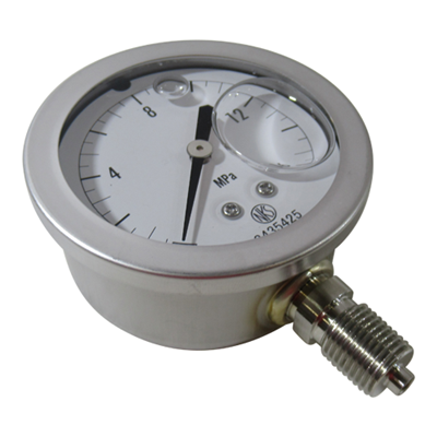 Pressure Gauge