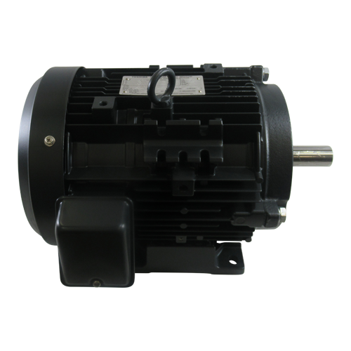 Induction Motor