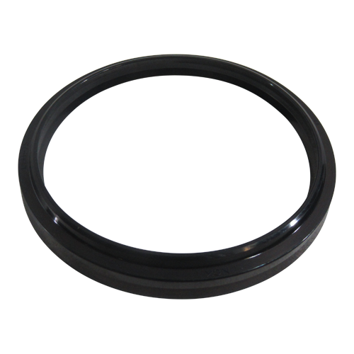 Piston Seal