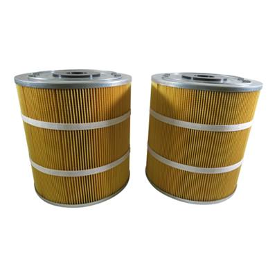 Filter (Set of 2)