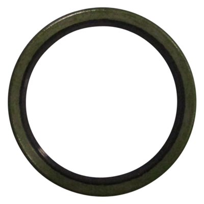 Oil Seal