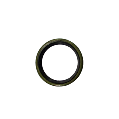 Oil Seal