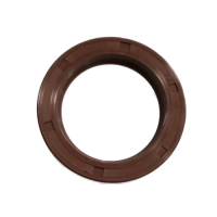 Oil Seal