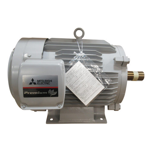 Induction Motor