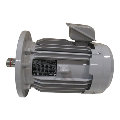 Induction Motor