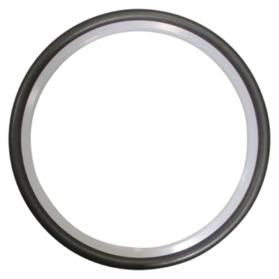 Rotary Seal