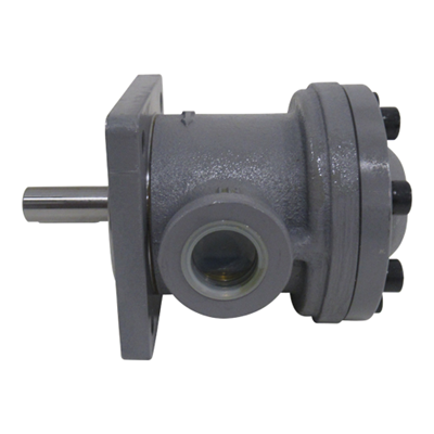 Vane Pump