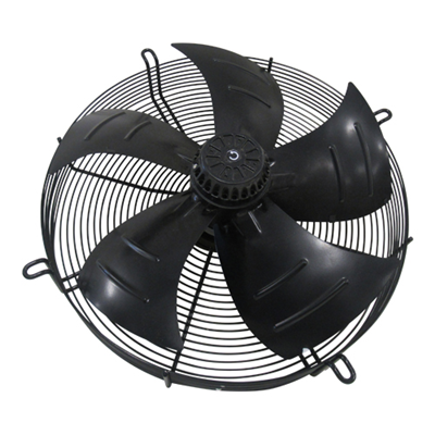 Fan